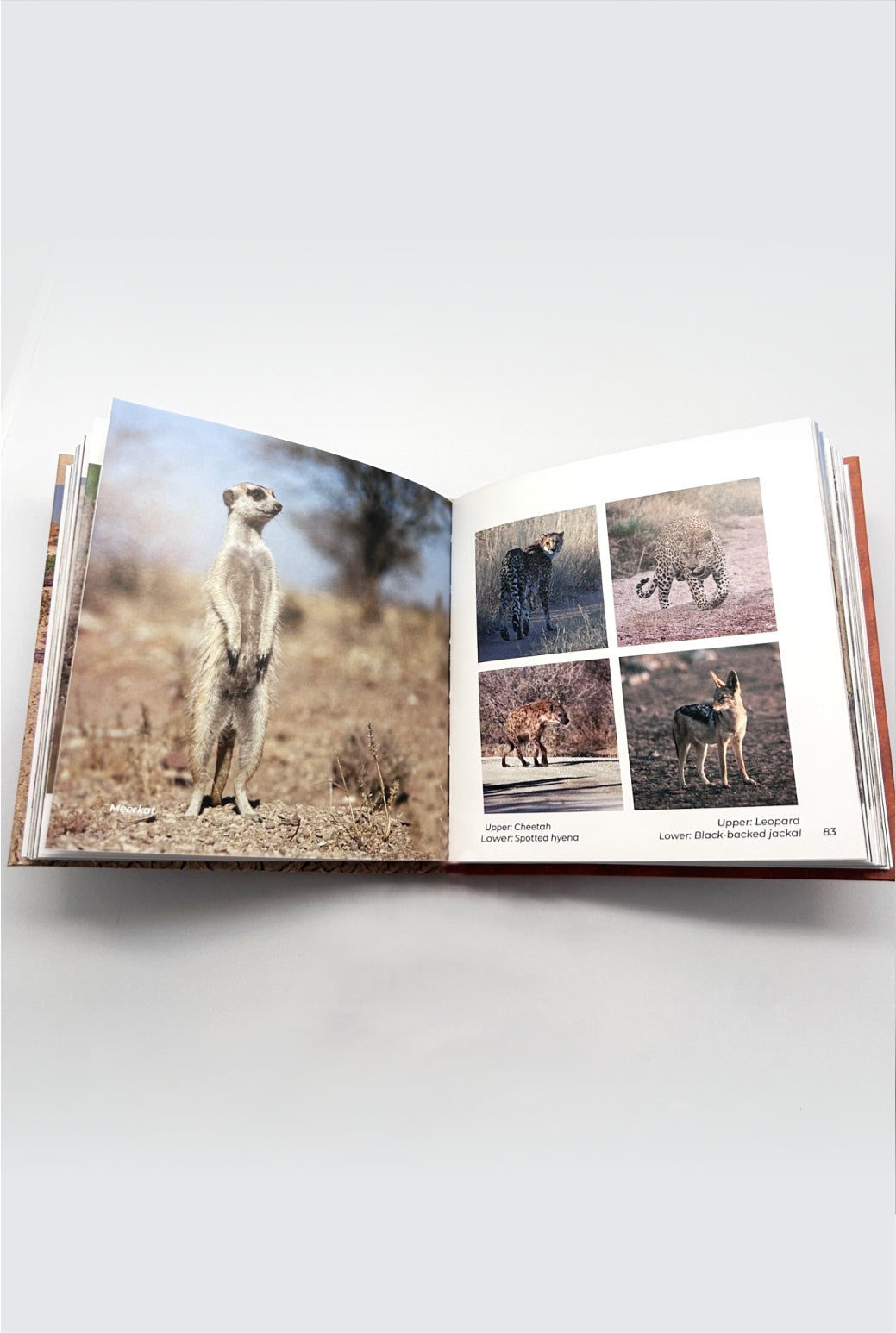 NAMIBIA IN A BAG BOOK