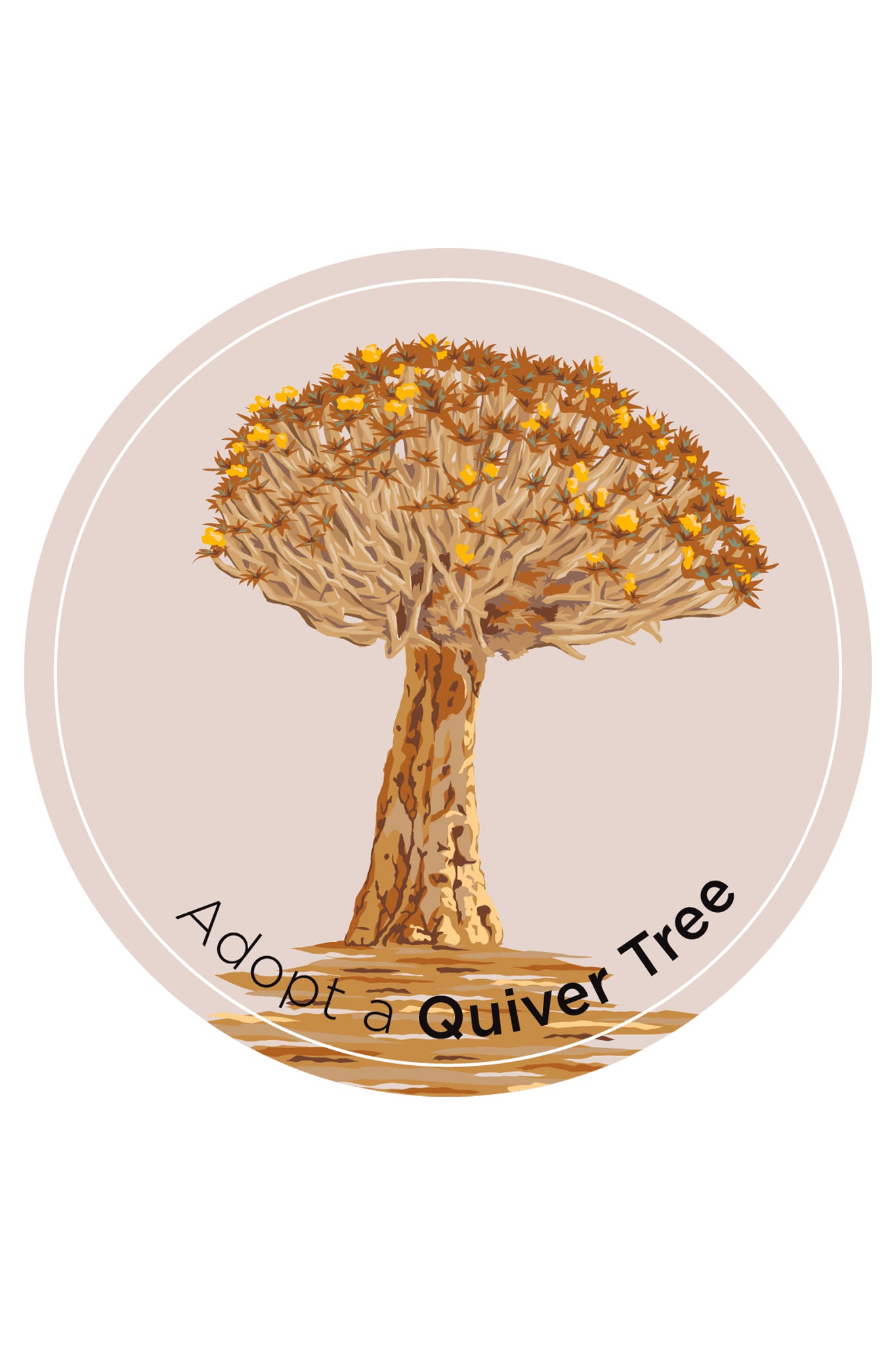 Adopt a Quiver Tree