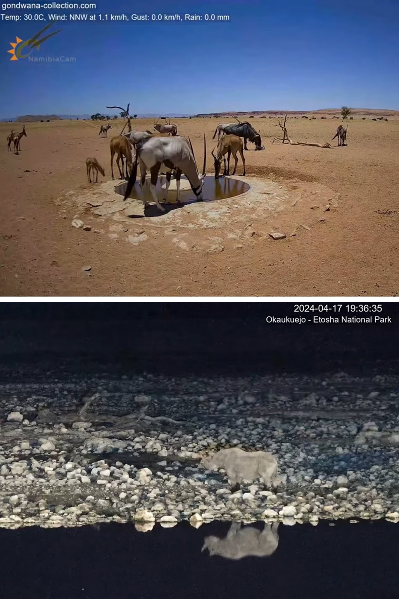 Spende für das Namib Desert Waterhole in Namibia