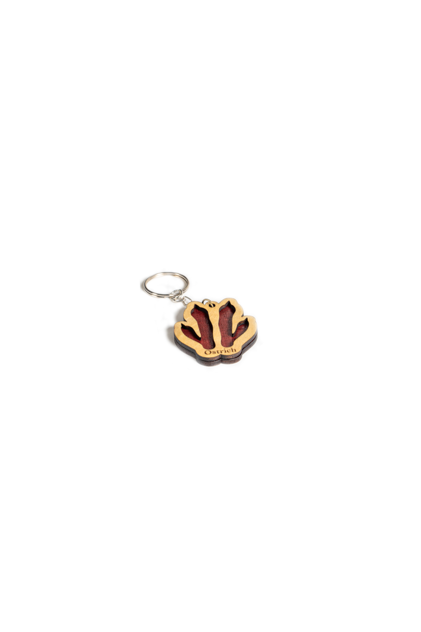 NamibiaCam animal paw-print Keyring