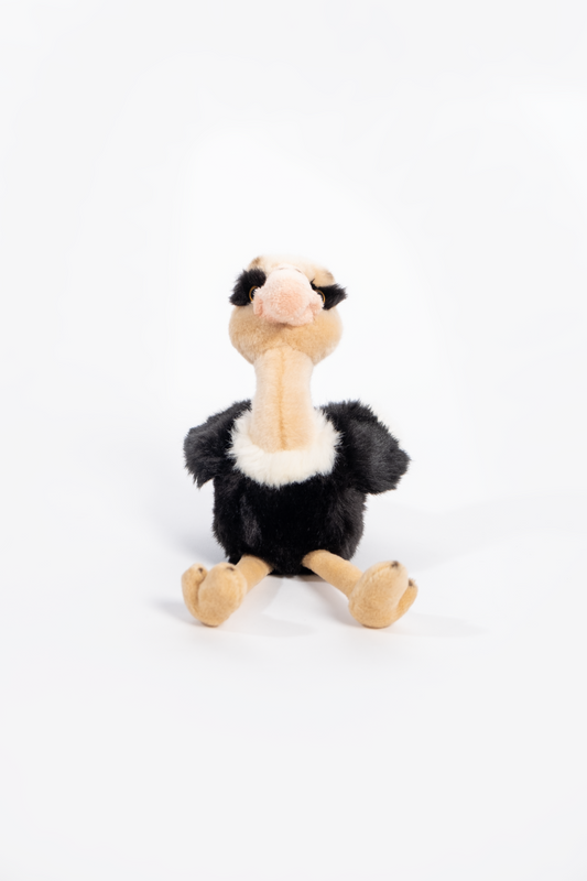 NamibiaCam Ostrich Soft Toy -Small