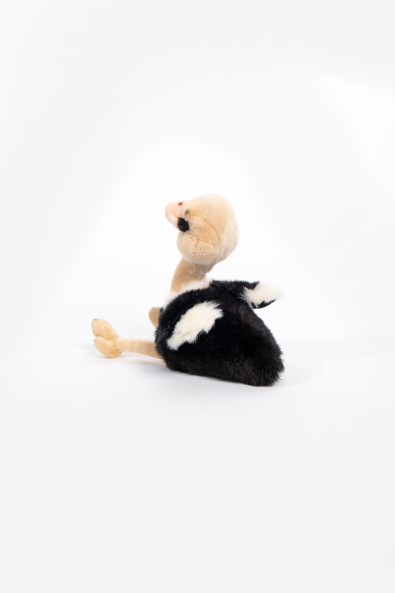 NamibiaCam Ostrich Soft Toy -Small