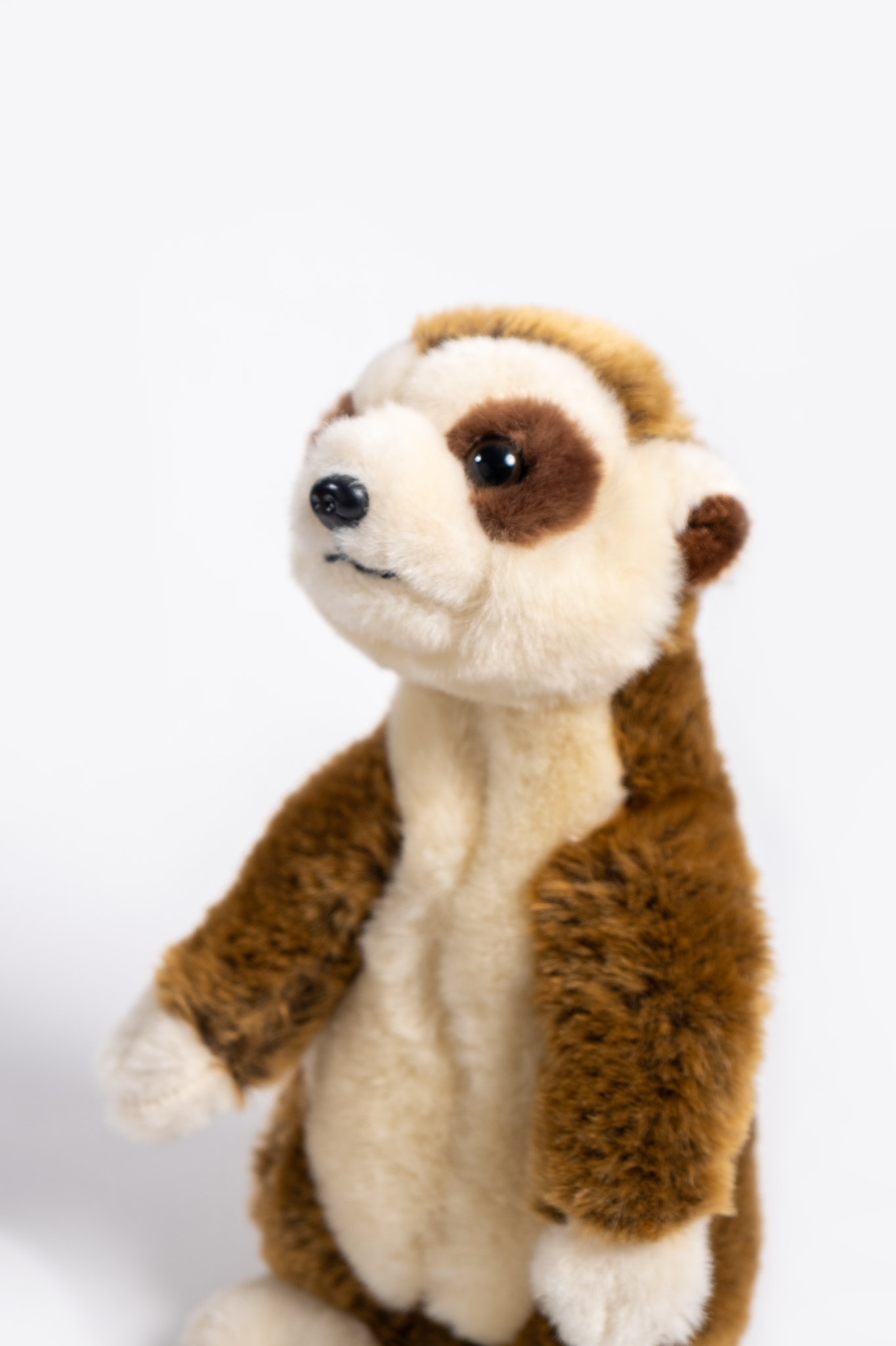 Meerkat soft toy